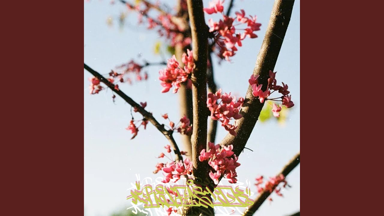 Assista a Never Surrender no YouTube Assista a Never Surrender no YouTube