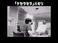 ハモリバージョン癖になる。「ケセラセラ」　#mrsgreenapple #大森元貴#jams#もっくん#ストーリー#ストーリーズ#instagram#ケセラセラ#ハモリ#レコーディング