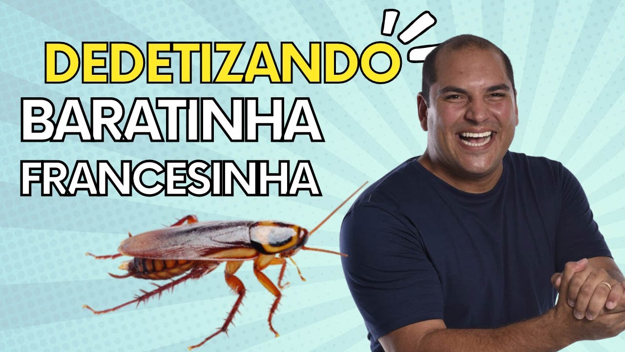 Como Acabar com Baratinha de Cozinha - Francesinha / Alemãzinha ...