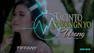 DJ MIX - DJ MINANG - TACINTO SAYANG NYO URANG - TITOK 2023