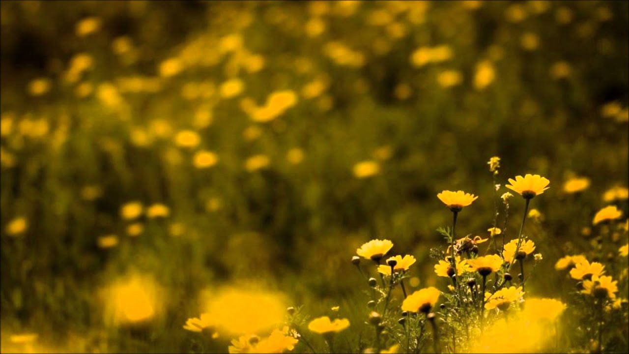 JJ Grant - Signs And Wonders (Original Mix)