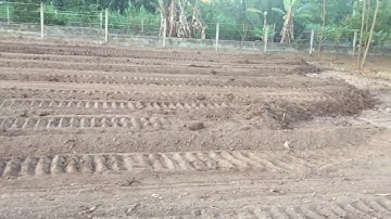 Khảo sát, tư vấn làm nền hạ sân bóng cỏ nhân tạo Củ Chi 2