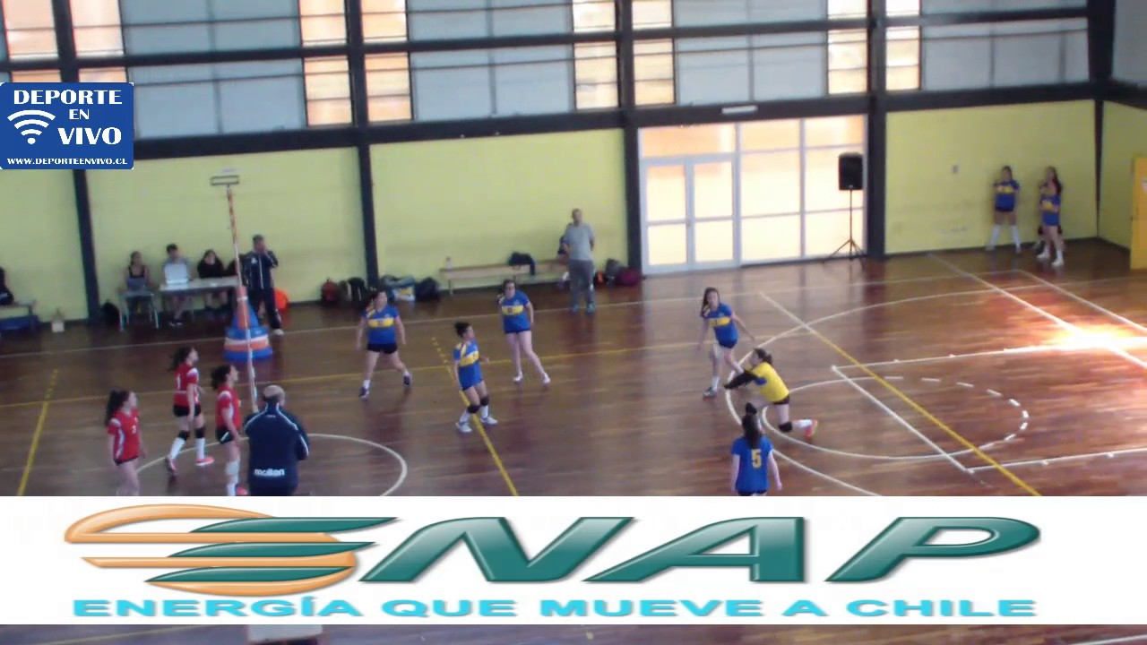 Deporte en Vivo Liga Sur de Voleibol Femenino CD Huachipato vs Borussia camera iphone 8 plus apk