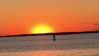 Malisa Longo, Attrice, Scrittrice, Giornalista, Pittrice. Frammenti Di Emozioni.