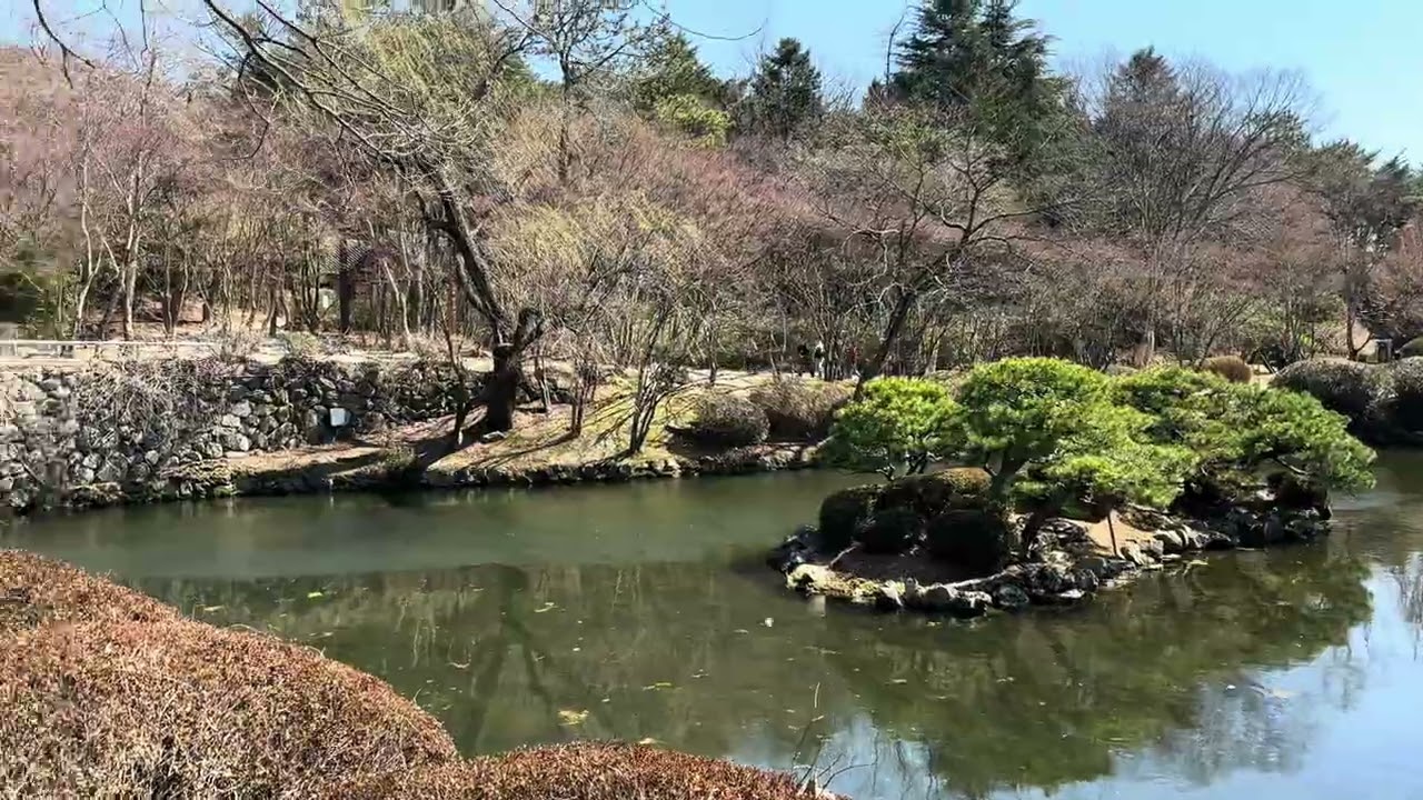 불국사 입구 연못