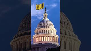 American Government Quiz - Feed Your Brain @iQuizzler