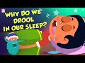 Why Do We Drool In Our Sleep? | Causes of Drooling | The Dr Binocs Show | Peekaboo Kidz