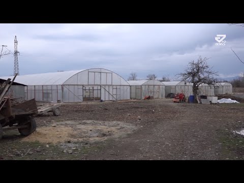 სოფელი ახალბედისეული მოსახლეებისაგან იცლება /MTAVARI/