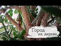 Как просто сделать город на дереве | Masherisha