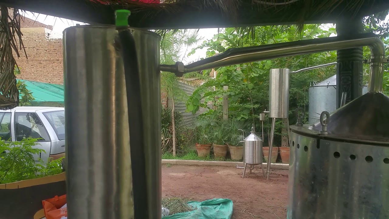 Essential Oil extraction by steam distillation