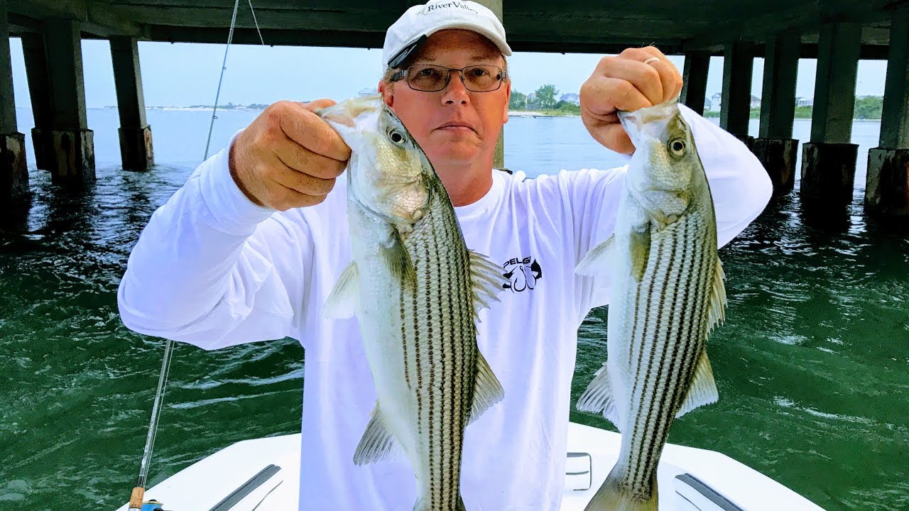 Flounder and Spec Rig Rockfish June 22 2017 Fishing Rt.50 Bridge