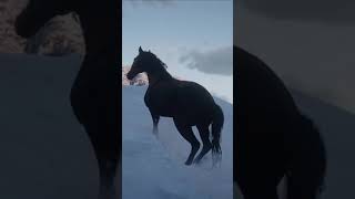 RDR2 • Black Turkoman Horse • Red Dead Redemption 2