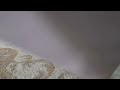 صوت تمزيق الورق صوت شق الورق