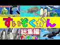【生配信】すいぞくかんで「うみのいきもの」とたっくさん会ってきたよ！#水族館 #海 #作業用