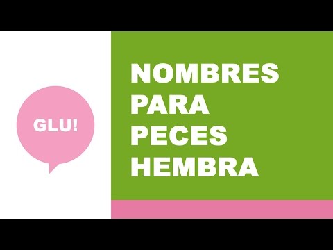 Vídeo: Nombres Para Peces De Acuario Hembra Con La Letra O