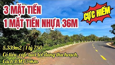 Nhà đất Daklak, lô 3 mặt tiền, 1 mặt tiền đường nhựa 36m siêu hiếm.
