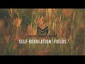 Selfregulation  fields  music movement npo