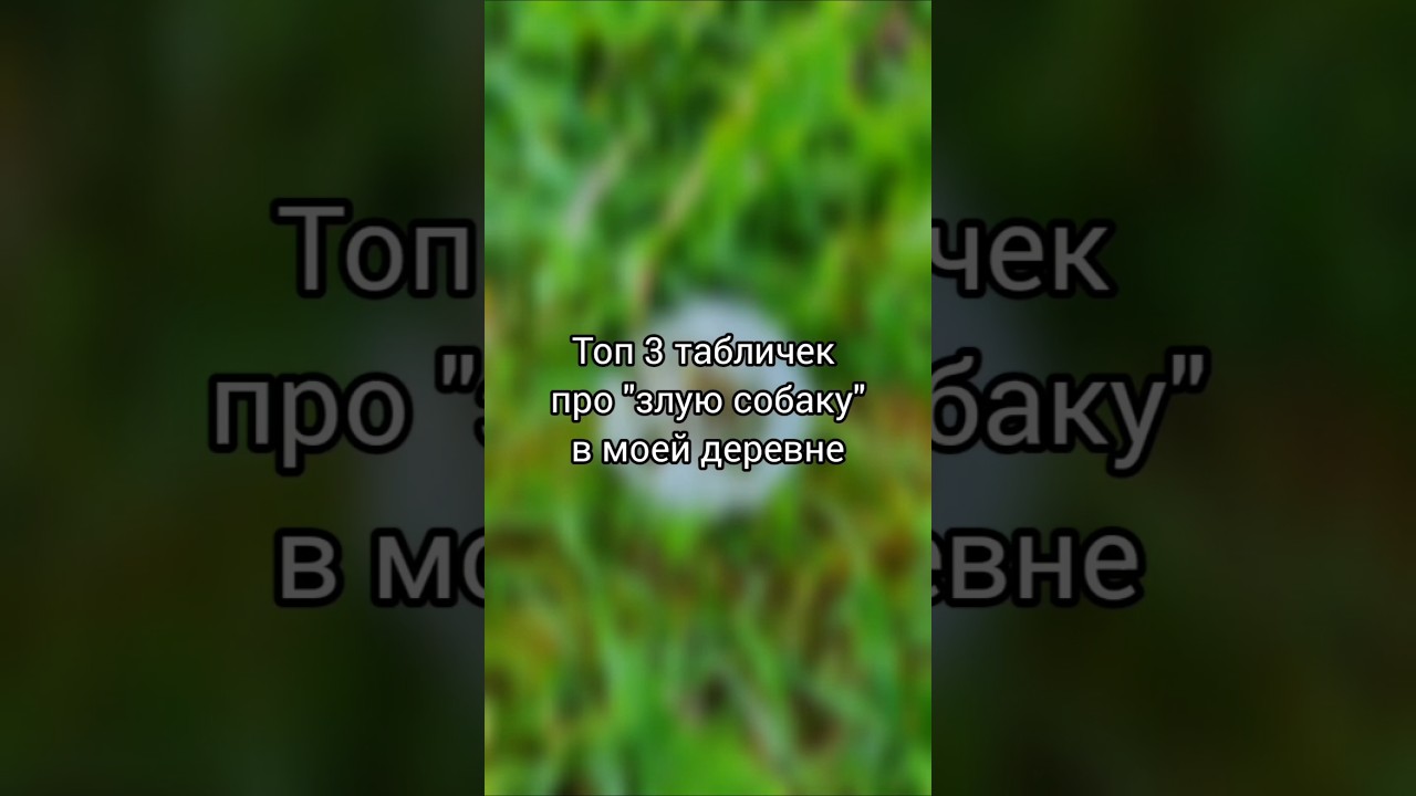 Доброе утро и ладного дня! #деревня #собака #смешное #юморок #друг