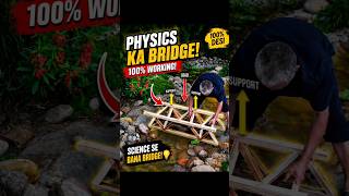 Physics Bridge Made From Wood 😱 #facts #knowledge #bridge #shorts #ytshorts