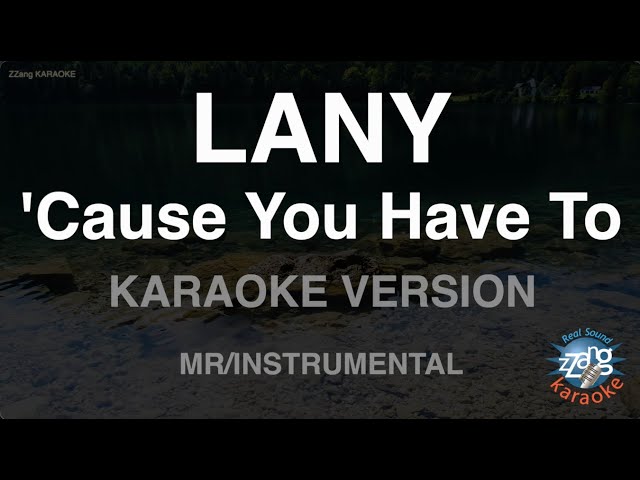LANY - 'Cause You Have To (Instrumental) (Karaoke Version)
