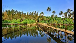 Goa Land Of Your Dreams.