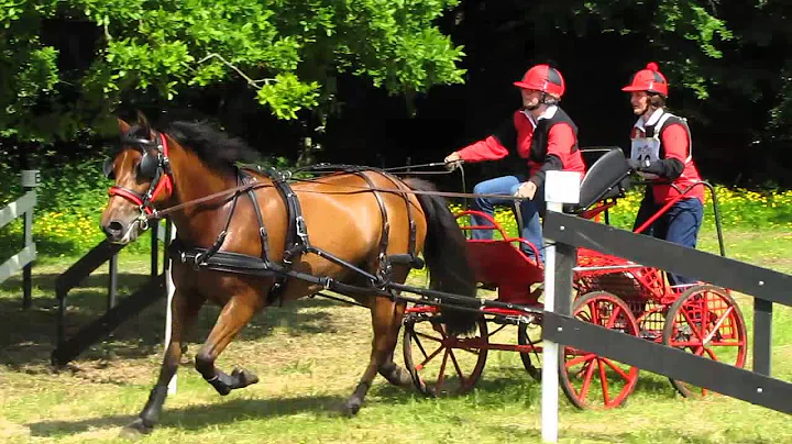 Waringstown 2013  Heather Henning
