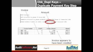 Duplicate Payment Test from the Payables Test Set for ACL