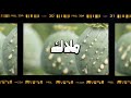 Belal Tarek Malak بلال طارق ملاك