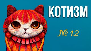 Котизм в каждой минуте || Выпуск 12