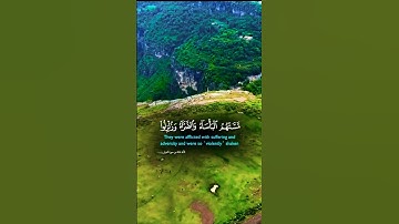 تلاوة تفوق الوصف بصوت يريح القلب #تلاوة #قران_كريم #elmulquranعلم #المصحف #لايك #اكسبلور #trend