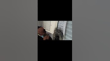 كتابة سورة الكهف بخط النسخ العادي /Writing Surah Alkahaf in Neskh Script #viralvideo #calligraphy