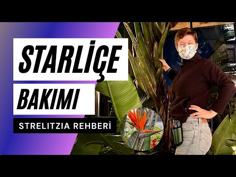 Video: Sterilizasyon: Bebeğinizin Besleme Ekipmanlarını Sterilize Etmek Hakkında Bilmeniz Gerekenler