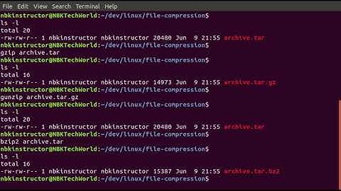 fffe-03 Using the GZIP and BZIP2 Commands to Compress and Decompress a TAR Archive File in Linux