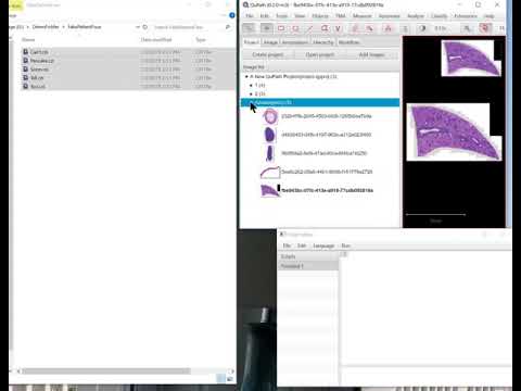 Using QuPath m3 to create and organize projects - YouTube