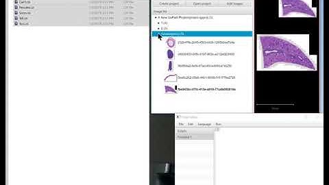 Using QuPath m3 to create and organize projects