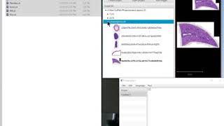 Using QuPath m3 to create and organize projects