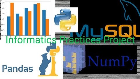 Informatics Practices Project | MySQL | Python | Class 11 & 12