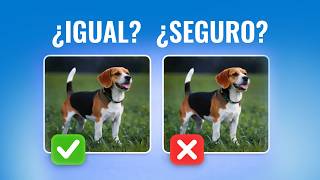 Borra fotos duplicadas en Mac SIN perder nada | Unclutr Files