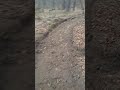 своими руками  бешеная  горка  в лесу 120м  do-it-yourself crazy hill in the forest 120m