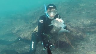 الدخول الى مخبأ الأسماك تحت الحجارة مع طريقة لإصطياد عالم غريب |Deep sea diving