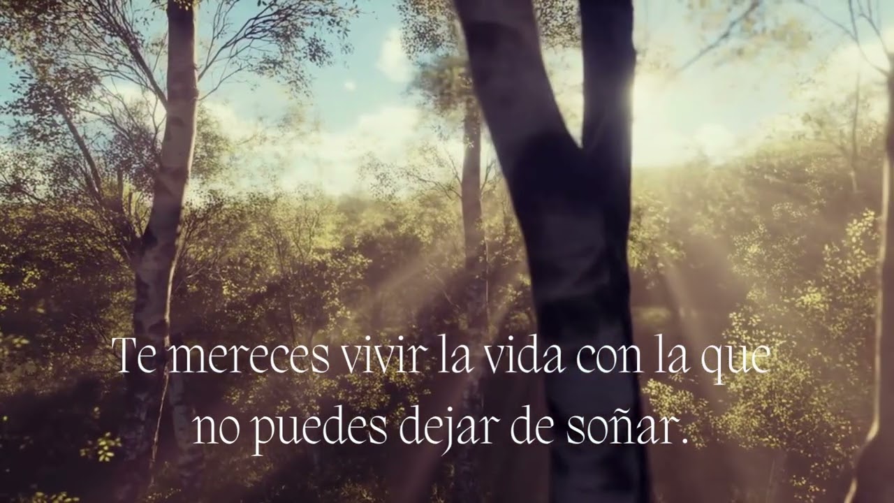 Música relajante con mensajes positivos para atraer calma y abundancia