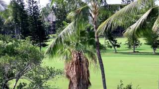 Kailua Kona Day one after breakfast