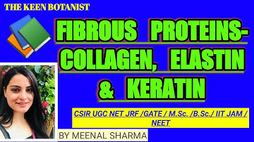 FIBROUS PROTEINS vs GLOBULAR PROTEINS || COLLAGEN || ELASTIN || KERATIN || CSIR UGC NET/GATE/NEET