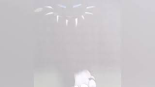 Scourge tribute (warriors cats)