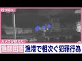 カメラが捉えた漁港で相次ぐ犯罪行為【アサデス。】