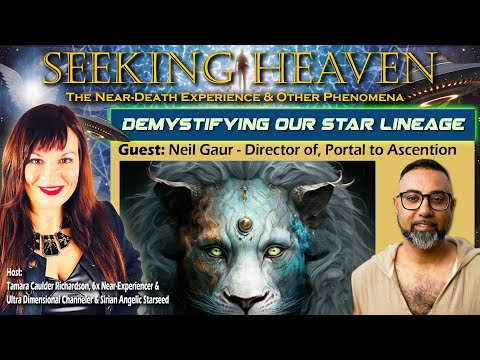 Episode 317: Demystifying Our Star Lineage - Neil Gaur, Director of Portal to Ascension