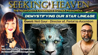 Episode 317: Demystifying Our Star Lineage - Neil Gaur, Director of Portal to Ascension