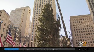 Rockefeller Center Tree Arrives From Upstate New York