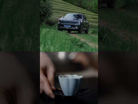 초록이 번지는 궤적 | <strong>보성</strong> 다원&amp;EV5 | #Shorts