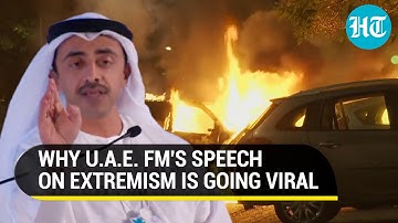 "Radicals, Extremists Will Come...": How UAE Foreign Minister 